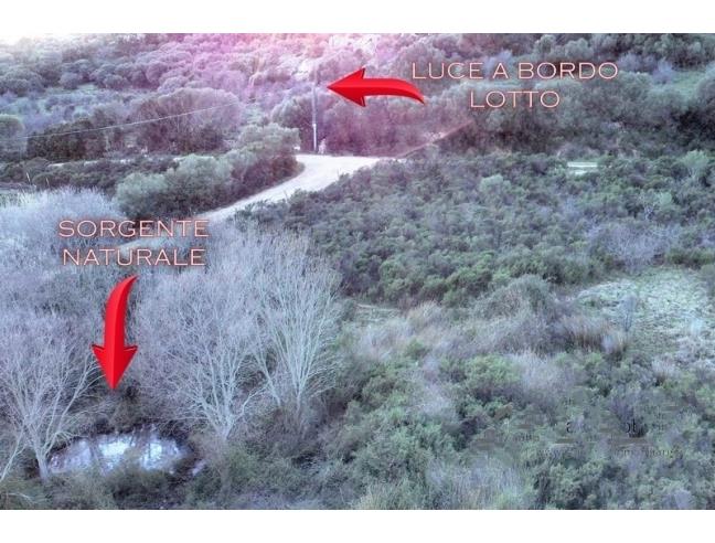 Anteprima foto 6 - Terreno Agricolo/Coltura in Vendita a Arzachena (Sassari)