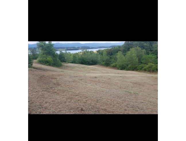 Anteprima foto 2 - Terreno Agricolo/Coltura in Vendita a Barberino di Mugello - Cavallina