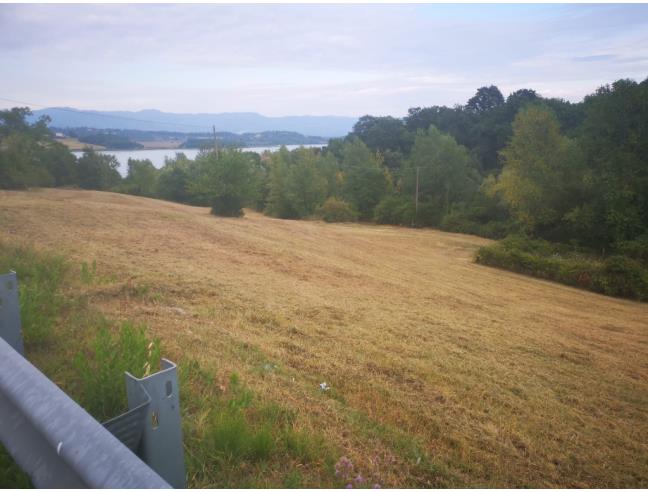 Anteprima foto 3 - Terreno Agricolo/Coltura in Vendita a Barberino di Mugello - Cavallina