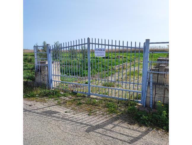 Anteprima foto 1 - Terreno Agricolo/Coltura in Vendita a Barletta (Barletta-Andria-Trani)