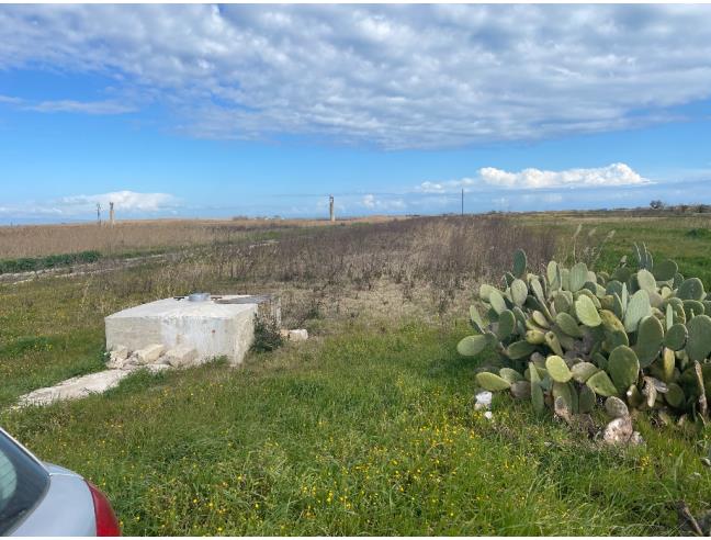 Anteprima foto 1 - Terreno Agricolo/Coltura in Vendita a Barletta (Barletta-Andria-Trani)