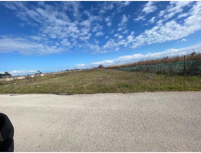 Anteprima foto 2 - Terreno Agricolo/Coltura in Vendita a Barletta (Barletta-Andria-Trani)