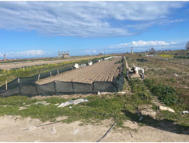 Anteprima foto 3 - Terreno Agricolo/Coltura in Vendita a Barletta (Barletta-Andria-Trani)