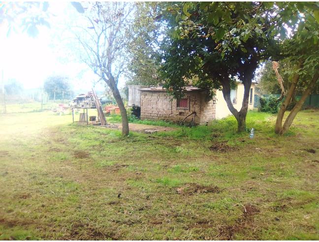 Anteprima foto 2 - Terreno Agricolo/Coltura in Vendita a Bassano Romano (Viterbo)