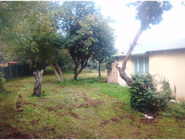 Anteprima foto 3 - Terreno Agricolo/Coltura in Vendita a Bassano Romano (Viterbo)
