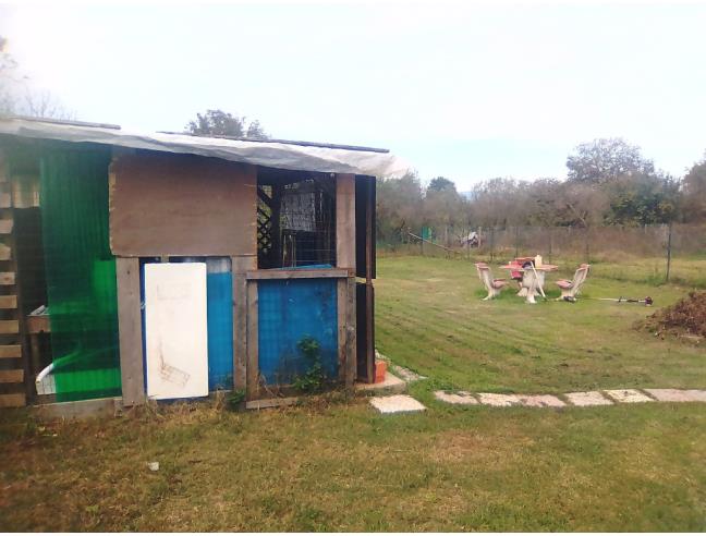 Anteprima foto 5 - Terreno Agricolo/Coltura in Vendita a Bassano Romano (Viterbo)