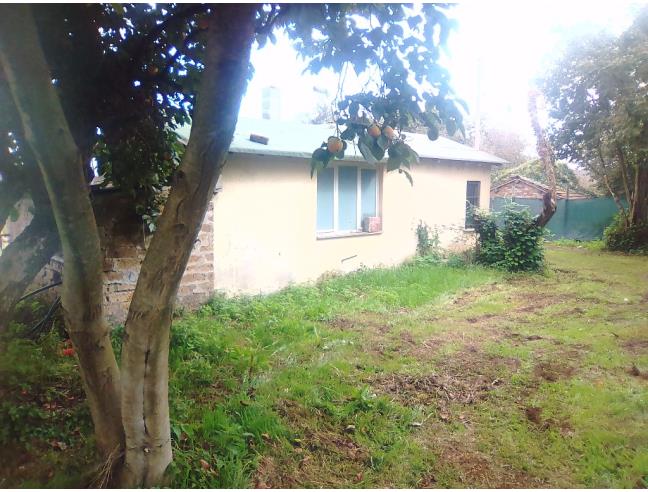 Anteprima foto 6 - Terreno Agricolo/Coltura in Vendita a Bassano Romano (Viterbo)