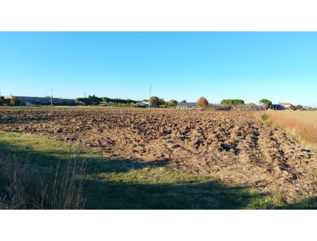 Anteprima foto 2 - Terreno Agricolo/Coltura in Vendita a Bellaria-Igea Marina (Rimini)