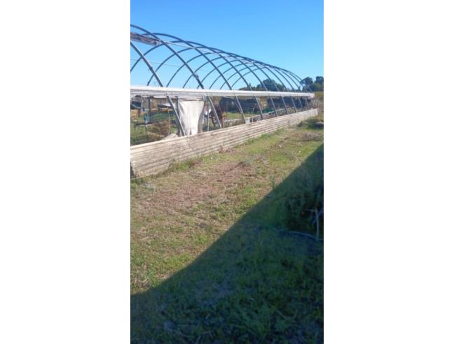 Anteprima foto 3 - Terreno Agricolo/Coltura in Vendita a Bellaria-Igea Marina (Rimini)