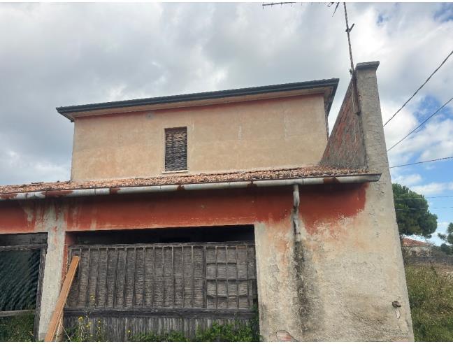 Anteprima foto 4 - Terreno Agricolo/Coltura in Vendita a Bellaria-Igea Marina (Rimini)