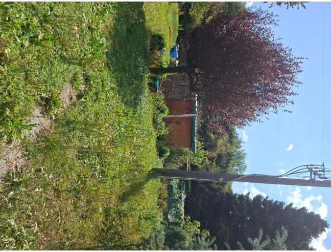 Anteprima foto 6 - Terreno Agricolo/Coltura in Vendita a Bellusco (Monza e Brianza)