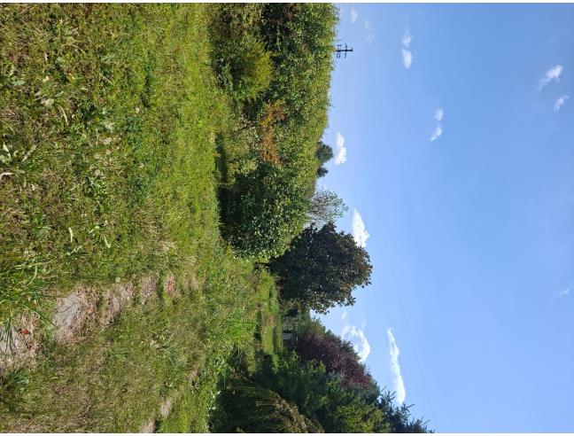 Anteprima foto 8 - Terreno Agricolo/Coltura in Vendita a Bellusco (Monza e Brianza)