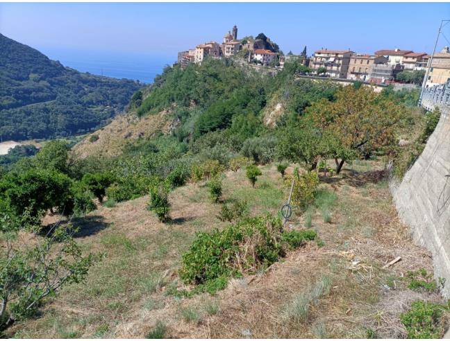 Anteprima foto 2 - Terreno Agricolo/Coltura in Vendita a Belmonte Calabro (Cosenza)