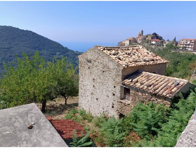 Anteprima foto 3 - Terreno Agricolo/Coltura in Vendita a Belmonte Calabro (Cosenza)