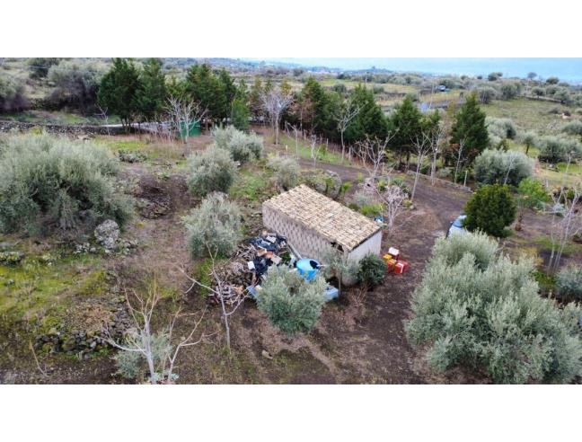 Anteprima foto 3 - Terreno Agricolo/Coltura in Vendita a Biancavilla (Catania)