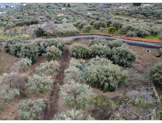 Anteprima foto 4 - Terreno Agricolo/Coltura in Vendita a Biancavilla (Catania)