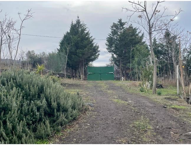 Anteprima foto 5 - Terreno Agricolo/Coltura in Vendita a Biancavilla (Catania)