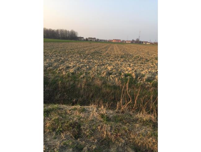 Anteprima foto 1 - Terreno Agricolo/Coltura in Vendita a Boretto (Reggio Emilia)