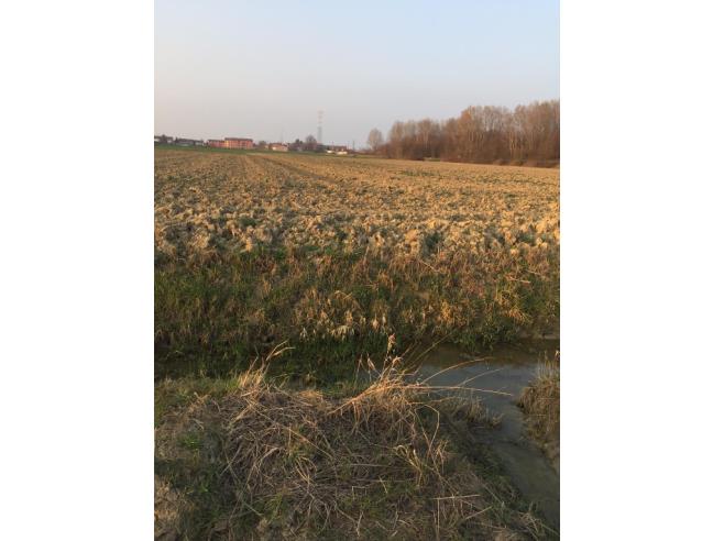 Anteprima foto 2 - Terreno Agricolo/Coltura in Vendita a Boretto (Reggio Emilia)