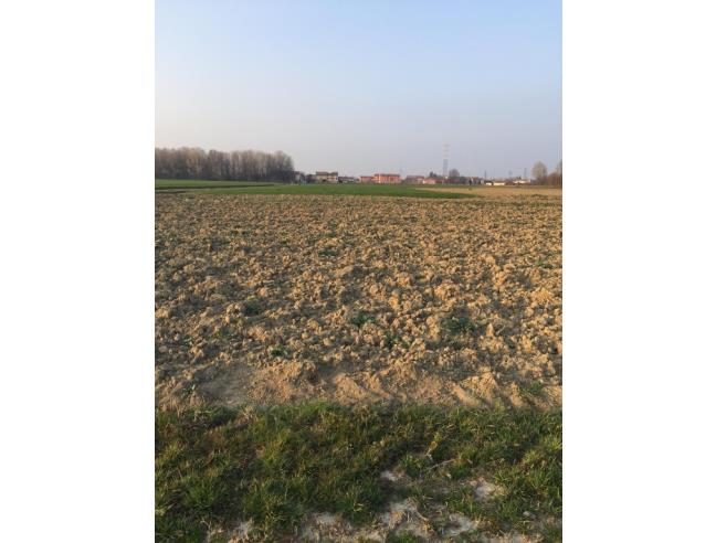 Anteprima foto 3 - Terreno Agricolo/Coltura in Vendita a Boretto (Reggio Emilia)