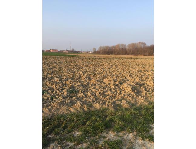 Anteprima foto 4 - Terreno Agricolo/Coltura in Vendita a Boretto (Reggio Emilia)