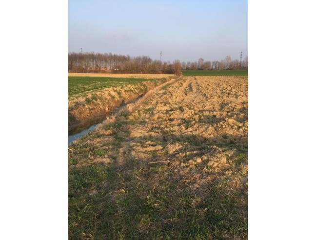 Anteprima foto 6 - Terreno Agricolo/Coltura in Vendita a Boretto (Reggio Emilia)