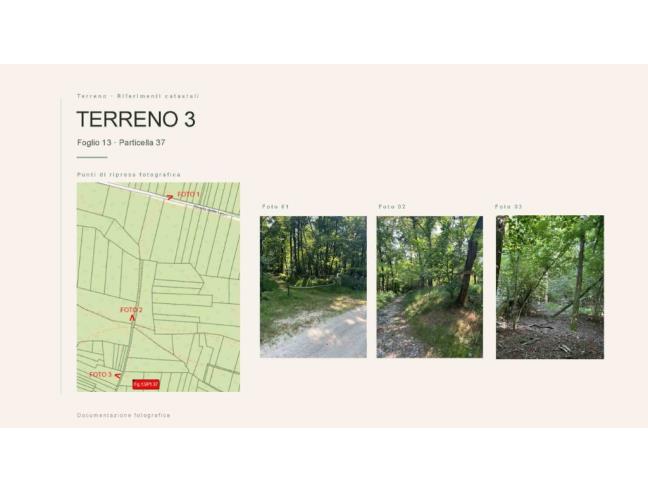 Anteprima foto 3 - Terreno Agricolo/Coltura in Vendita a Borgo Ticino (Novara)