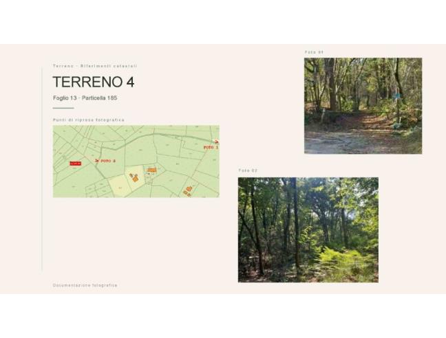 Anteprima foto 4 - Terreno Agricolo/Coltura in Vendita a Borgo Ticino (Novara)