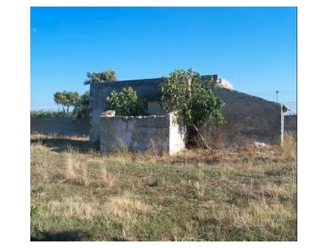 Anteprima foto 4 - Terreno Agricolo/Coltura in Vendita a Brindisi (Brindisi)
