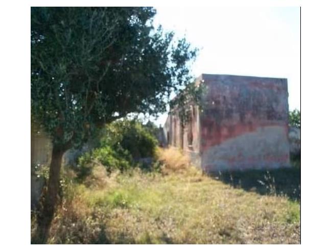 Anteprima foto 5 - Terreno Agricolo/Coltura in Vendita a Brindisi (Brindisi)