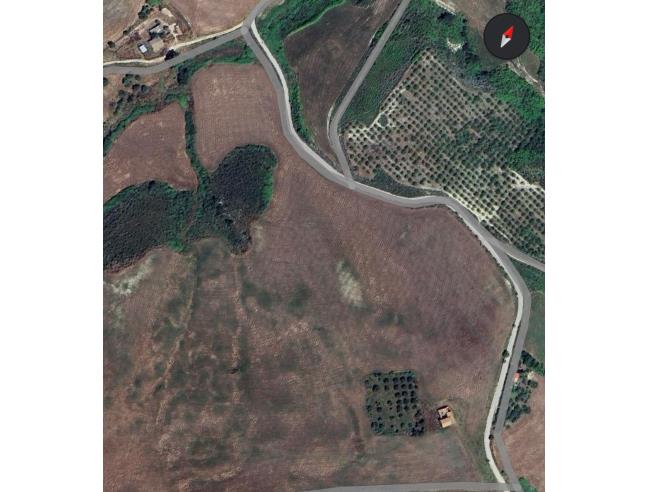 Anteprima foto 2 - Terreno Agricolo/Coltura in Vendita a Caccamo (Palermo)