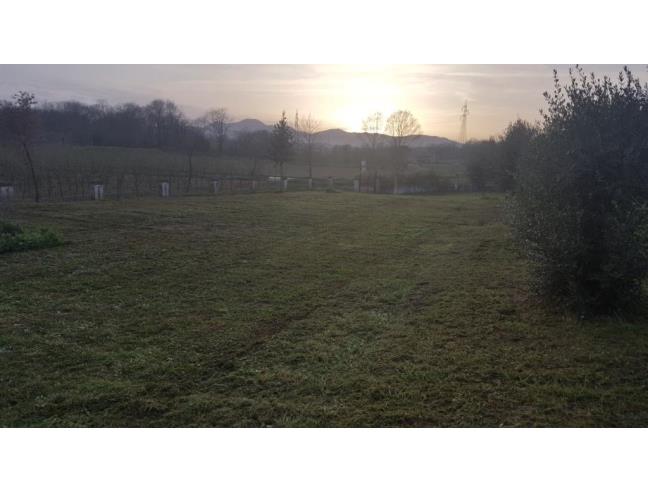 Anteprima foto 3 - Terreno Agricolo/Coltura in Vendita a Caianello - Montano