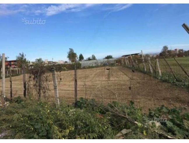 Anteprima foto 2 - Terreno Agricolo/Coltura in Vendita a Caivano (Napoli)