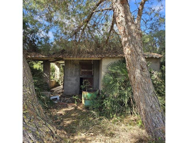 Anteprima foto 4 - Terreno Agricolo/Coltura in Vendita a Calasetta - Cussorgia