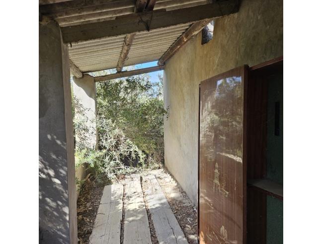Anteprima foto 5 - Terreno Agricolo/Coltura in Vendita a Calasetta - Cussorgia