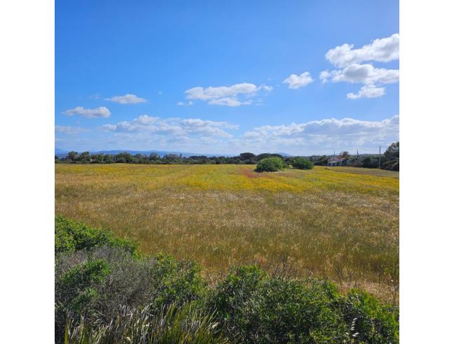 Anteprima foto 6 - Terreno Agricolo/Coltura in Vendita a Calasetta - Cussorgia