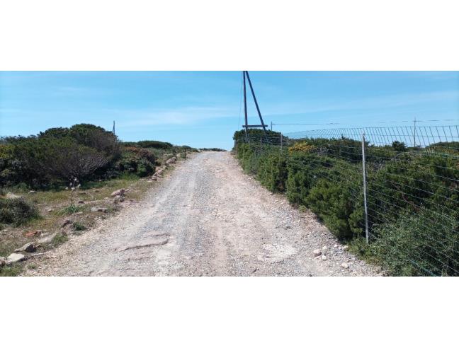 Anteprima foto 4 - Terreno Agricolo/Coltura in Vendita a Calasetta (Sud Sardegna)