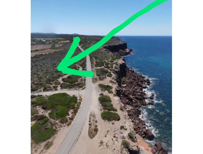 Anteprima foto 5 - Terreno Agricolo/Coltura in Vendita a Calasetta (Sud Sardegna)