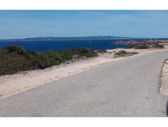 Anteprima foto 6 - Terreno Agricolo/Coltura in Vendita a Calasetta (Sud Sardegna)