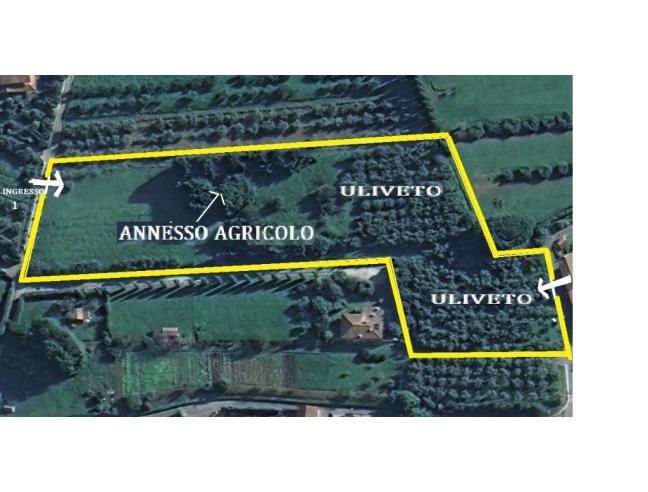 Anteprima foto 1 - Terreno Agricolo/Coltura in Vendita a Camaiore - Pieve Di Camaiore