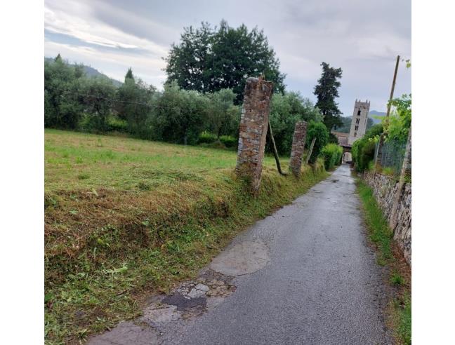 Anteprima foto 2 - Terreno Agricolo/Coltura in Vendita a Camaiore - Pieve Di Camaiore