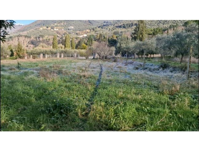 Anteprima foto 4 - Terreno Agricolo/Coltura in Vendita a Camaiore - Pieve Di Camaiore