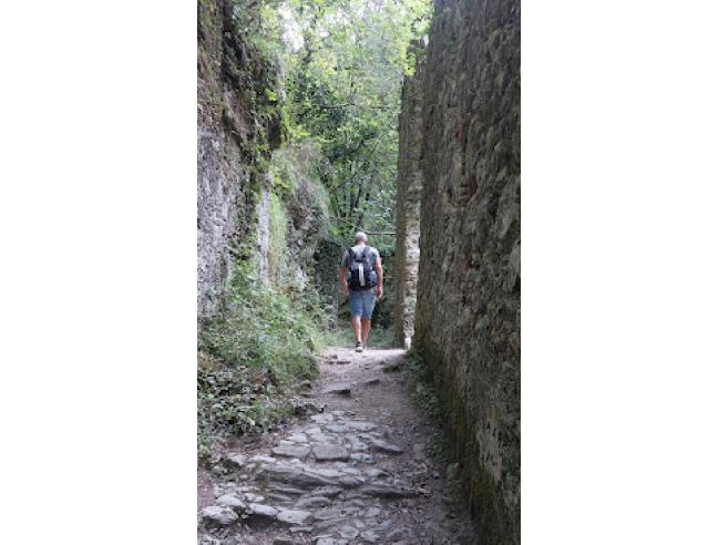 Anteprima foto 5 - Terreno Agricolo/Coltura in Vendita a Camaiore - Pieve Di Camaiore