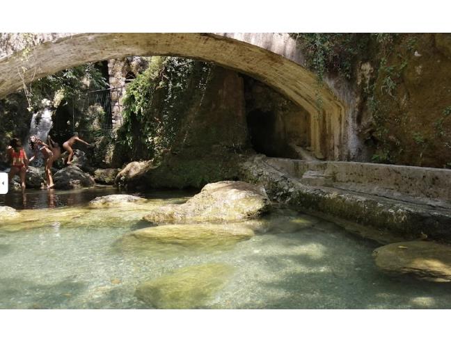 Anteprima foto 6 - Terreno Agricolo/Coltura in Vendita a Camaiore - Pieve Di Camaiore
