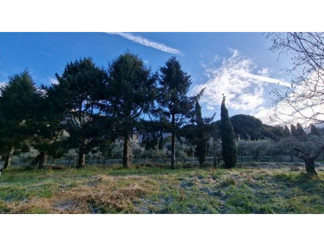 Anteprima foto 6 - Terreno Agricolo/Coltura in Vendita a Camaiore - Pieve Di Camaiore