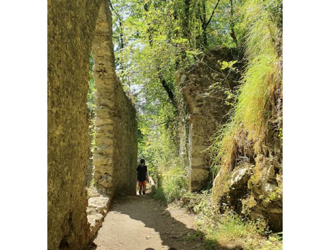 Anteprima foto 7 - Terreno Agricolo/Coltura in Vendita a Camaiore - Pieve Di Camaiore