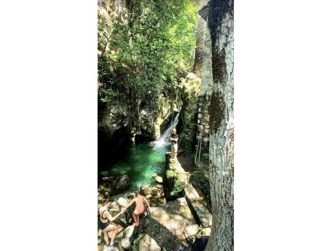 Anteprima foto 8 - Terreno Agricolo/Coltura in Vendita a Camaiore - Pieve Di Camaiore