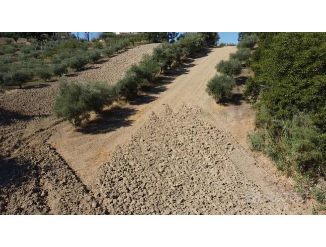 Anteprima foto 2 - Terreno Agricolo/Coltura in Vendita a Camerano (Ancona)