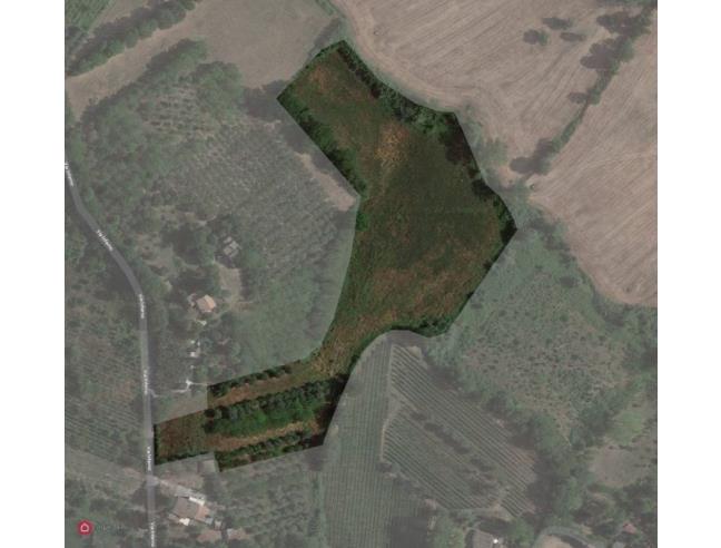 Anteprima foto 8 - Terreno Agricolo/Coltura in Vendita a Camerano (Ancona)