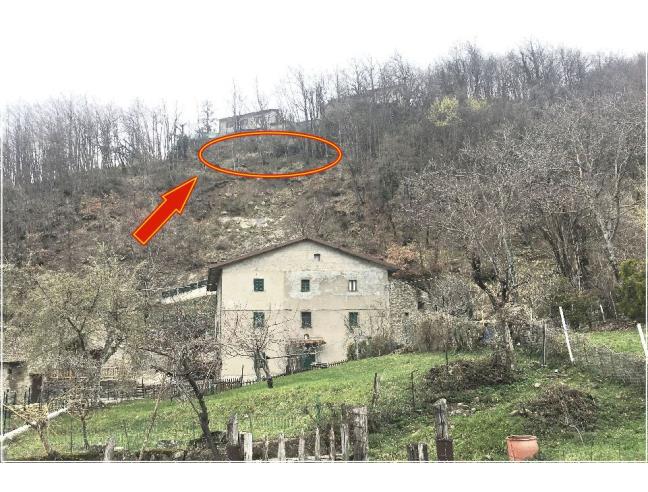 Anteprima foto 2 - Terreno Agricolo/Coltura in Vendita a Camugnano - Stagno